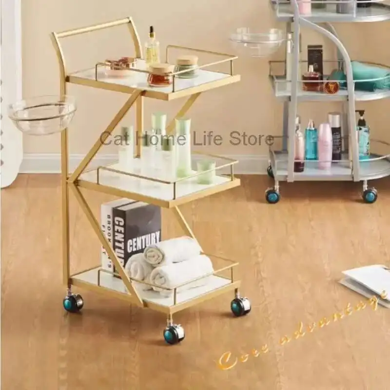 Trolly Aesthetic Professional Beauty Salon Elegant Hairdresser Cart Trolley Shopping Plegable Con Ruedas Wheels Hair Furniture