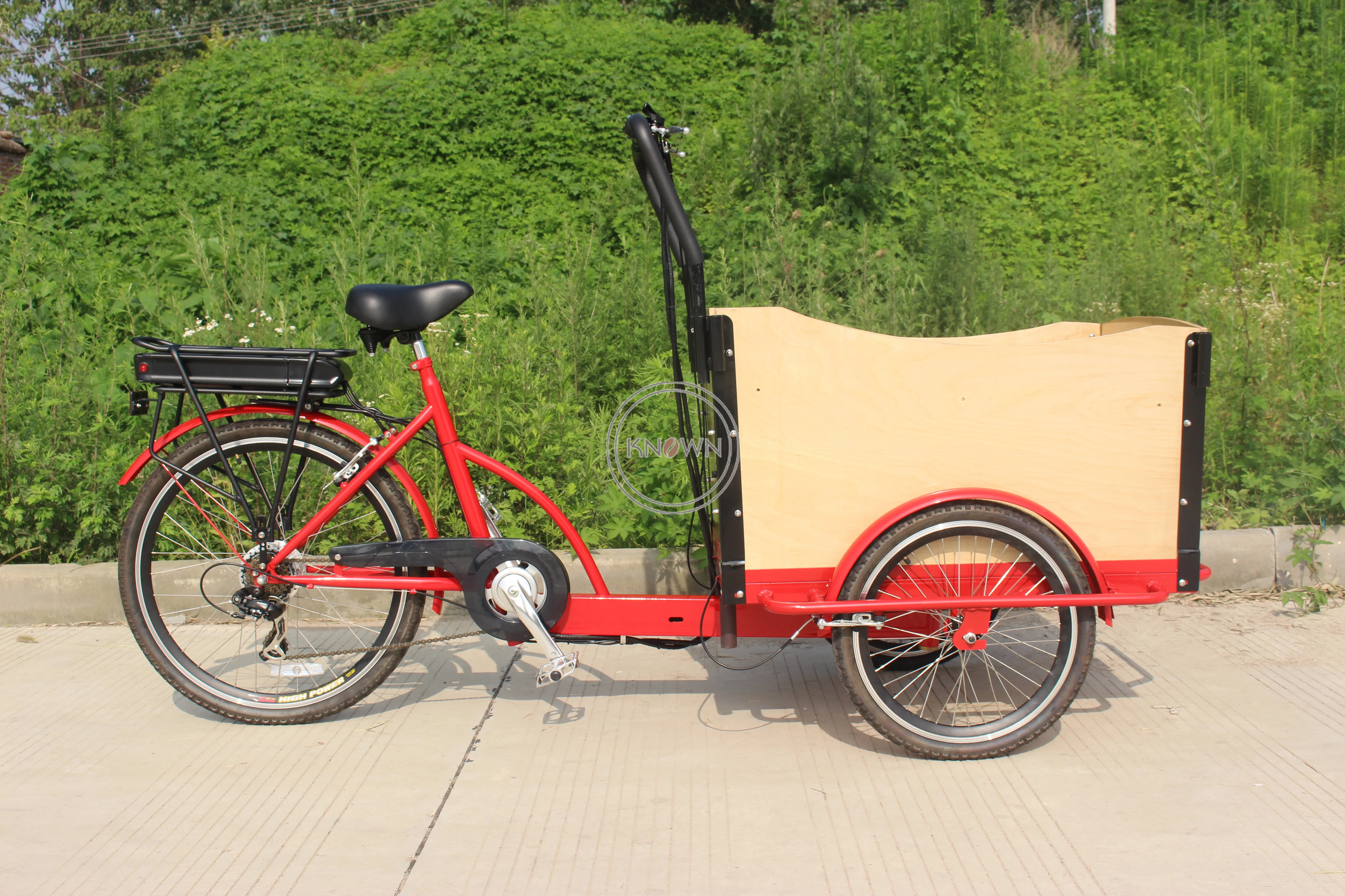 2024 Cargo Bike Three Wheel Electric Tricycle Adult Freight Tricycle Front 2 Wheels Bicycle WIth Seat Belts