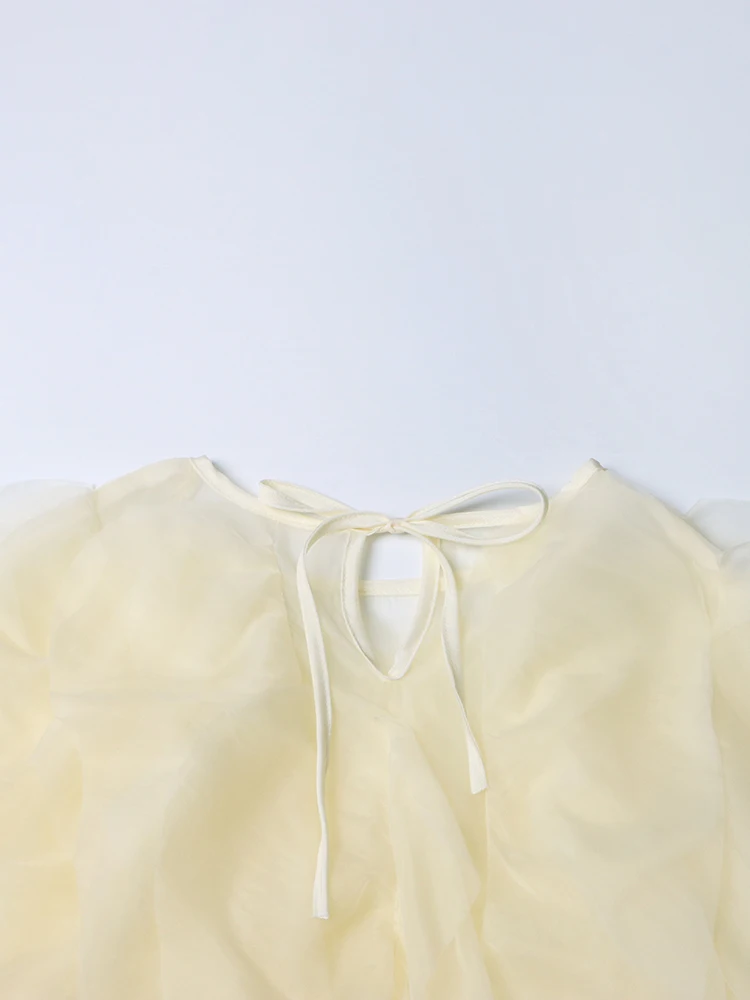 TWOTWINSTYLE Rüschenhemden für Damen, Pullover, Bluse, weiblicher Modestil – Detail 30