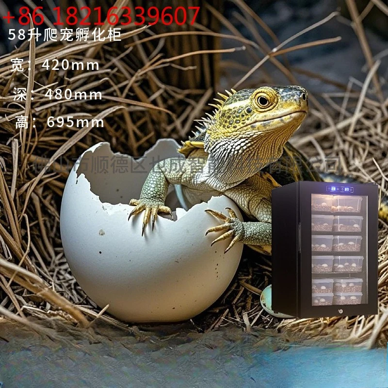 Picture 5: Climbing pet animal air-cooled variable frequency compressor type incubator energy-saving incubator temperature-controlled