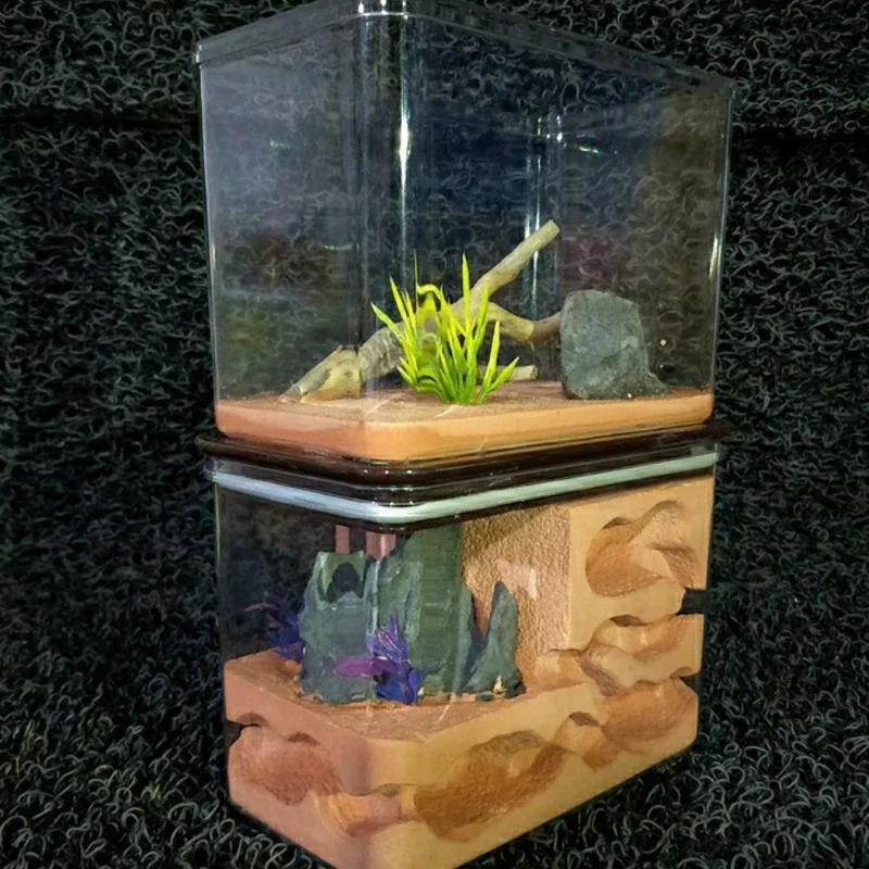 

Ant Warship Underground Nest Landscaping Activity Area Multi Nest Room Biomimetic Ant Nest