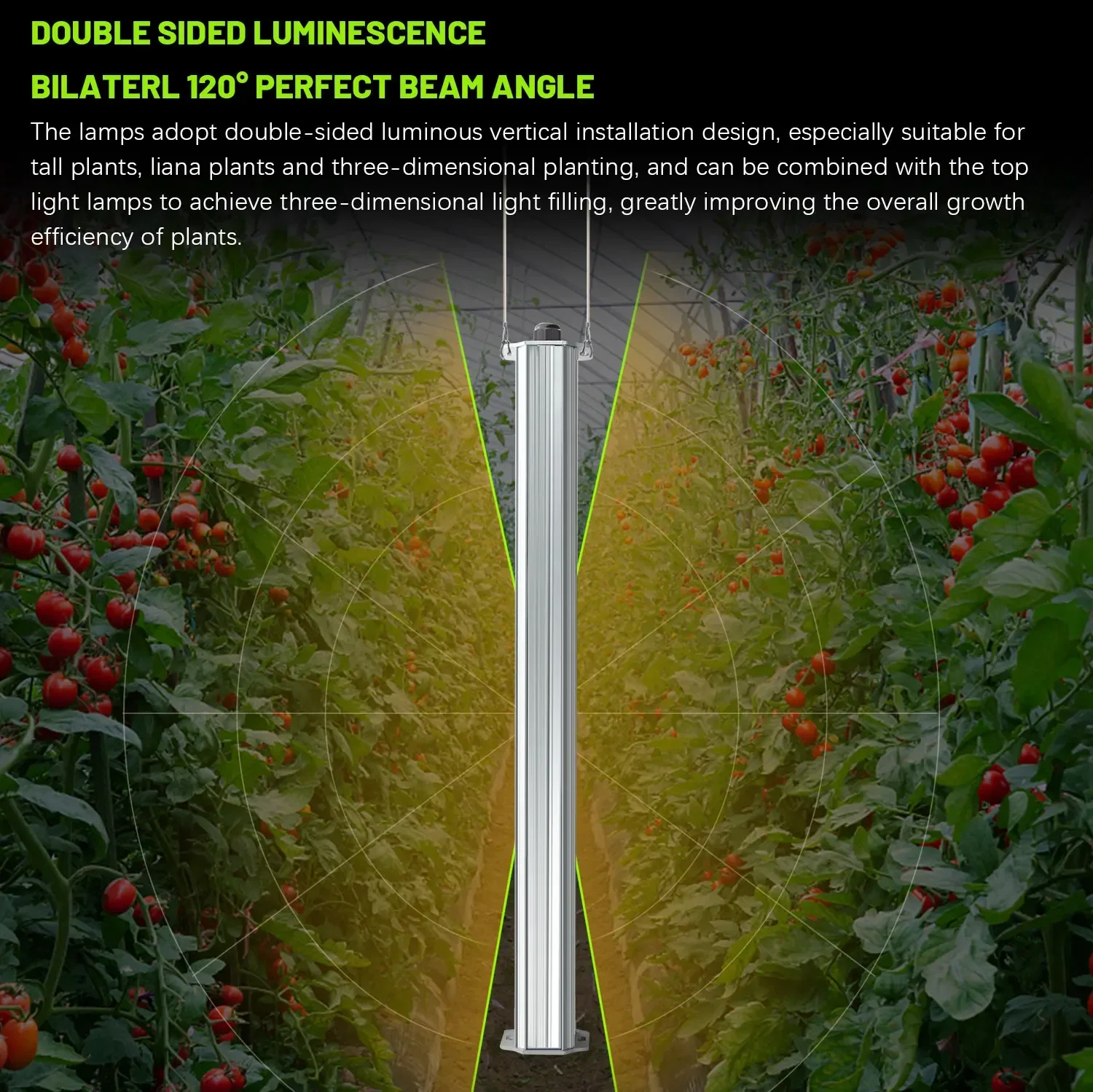 Best ETL Listed Plant Green Wall Agriculture Farming Vertical Garden Hydroponic Tomatoes Cucumbers Double Sided Grow Light