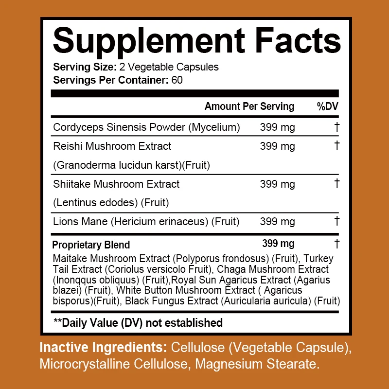 Pilzkomplex-Kapseln – mit Löwenmähnen, Chaga, Reishi, Cordyceps – unterstützen das Immunsystem, Gedächtnis, Konzentration und Stress abbauen