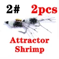 attractor shrimp