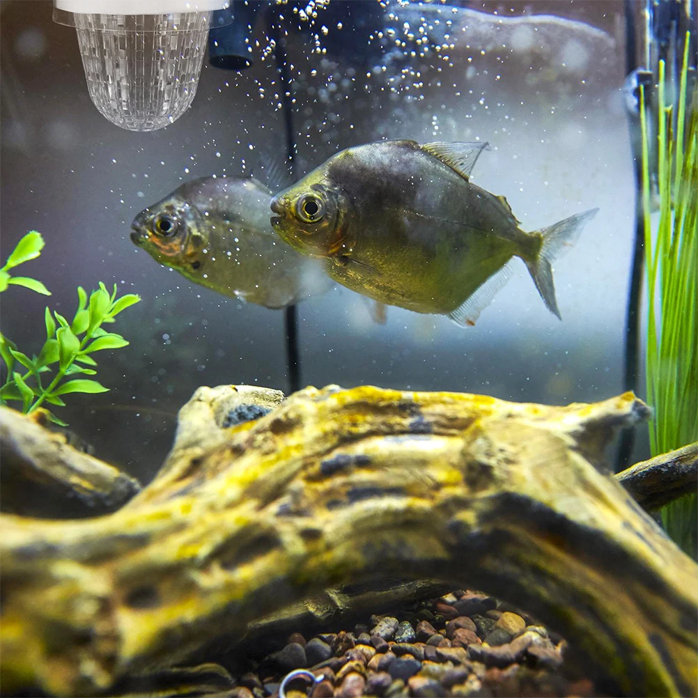 

2pcs Fish Breeding Box For Aquarium Floating Hatchery Incubator Transparent Guppy Breeder Container Isolation Tank Pet