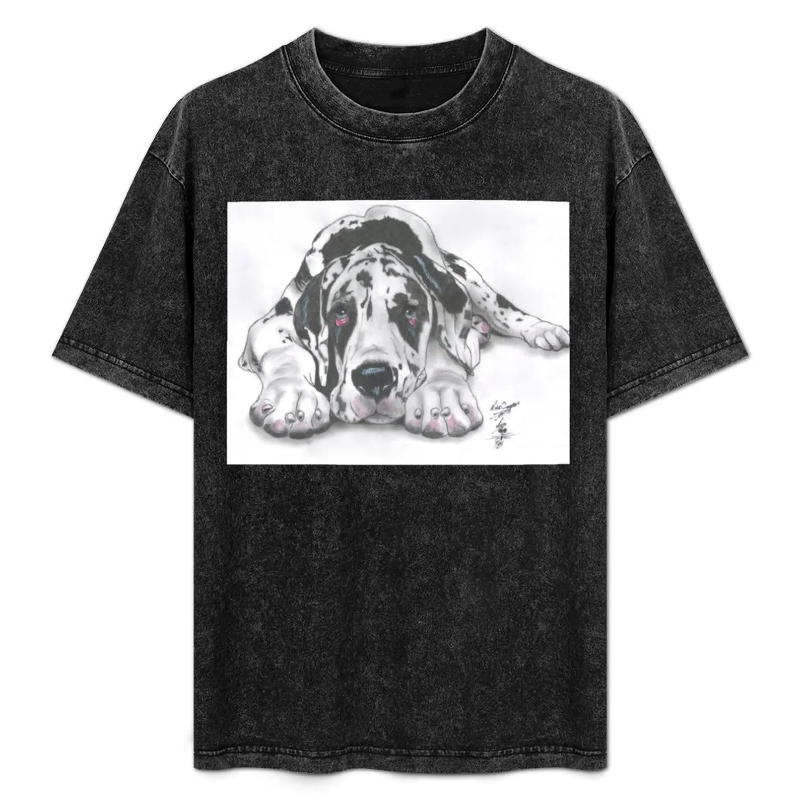 

Al T-Shirt Basic All Season Solid T-Shirt