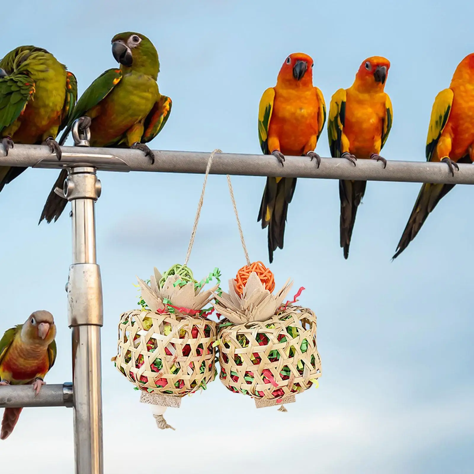 Hanging Bird Toys Exercise Bird Chewing Toys for Parakeets Budgies Macaws