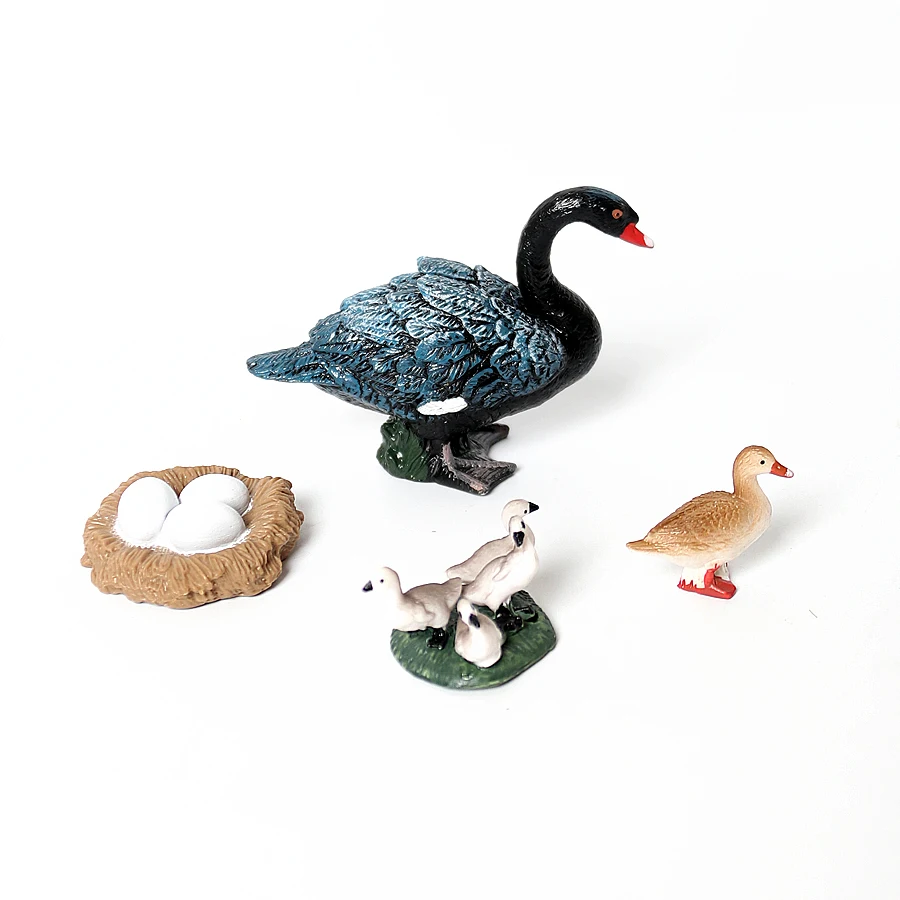 動物のライフサイクル モンテッソーリ プラスチック製 カメ タコ 白鳥 豆の形をしたフィギュアセット 動物フィギュア アクションフィギュア モデルおもちゃ 子供向けギフト