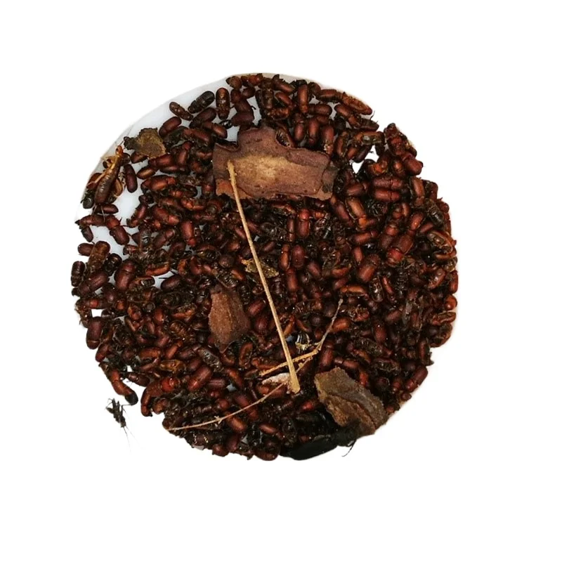 

lipid beetle trap core pest control and trapping monitoring (excluding traps)