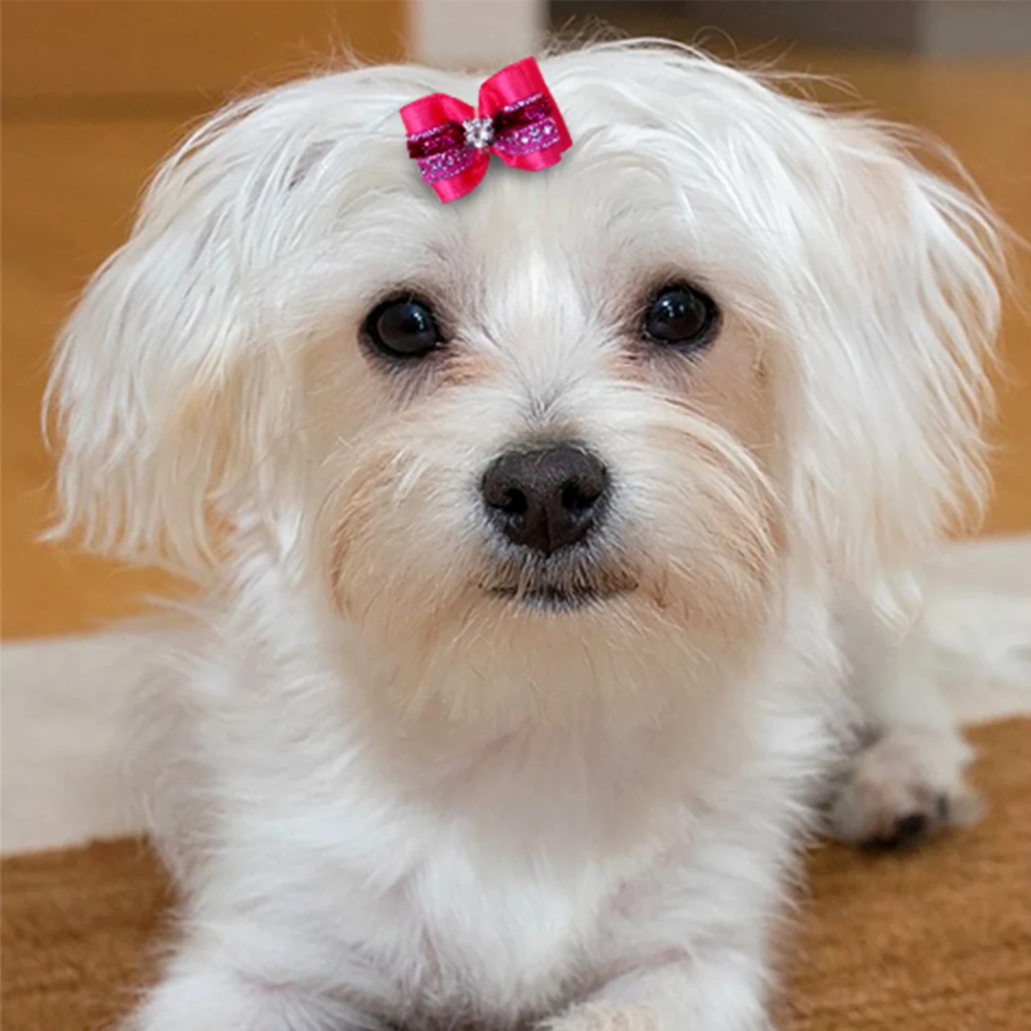 Laços de cabelo fofos para cães de estimação, 20 peças com strass e flores, laços de fita, acessório de cabelo para cães, suprimentos para animais de estimação, laços para cães em massa