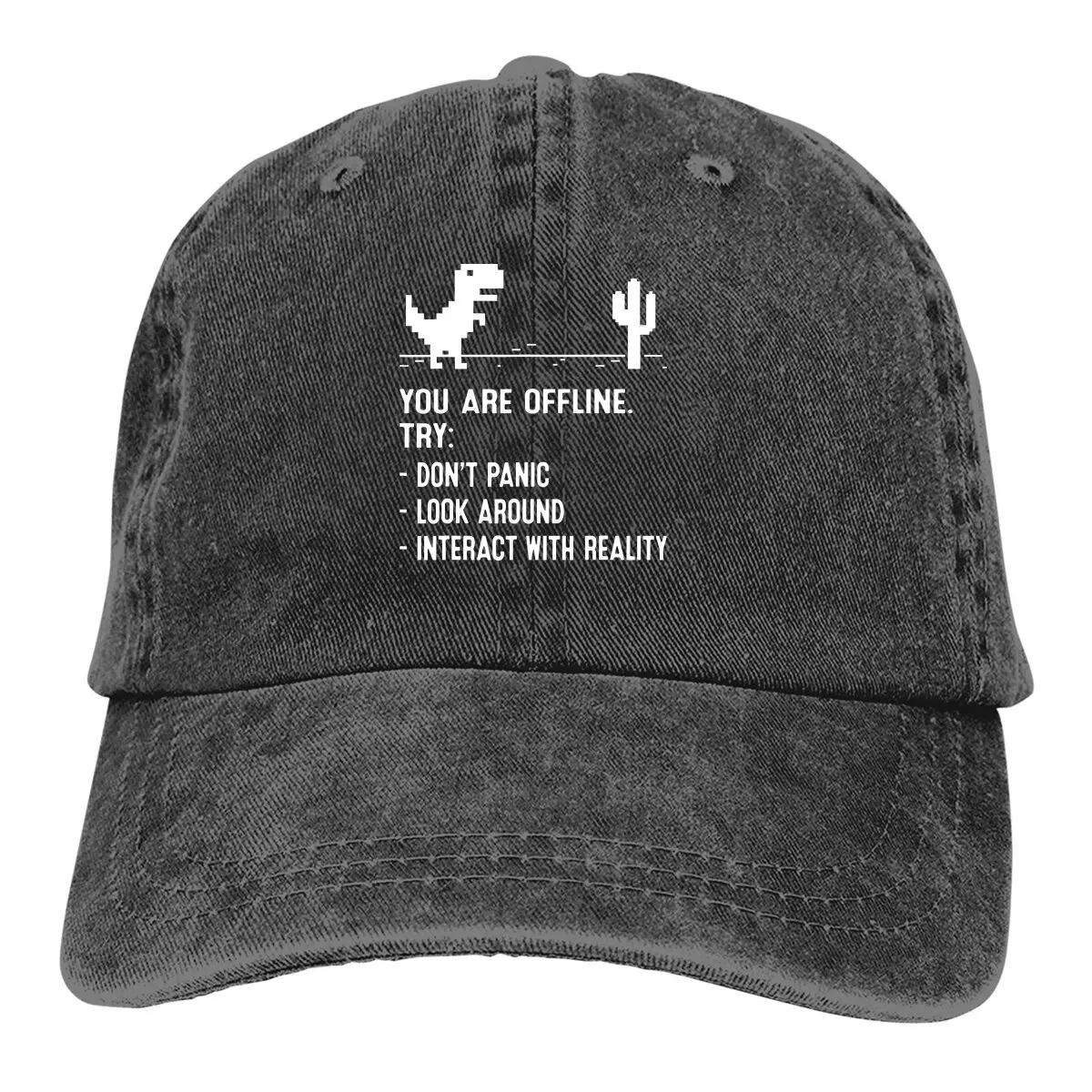 You Are Offline Funny Low Resolution Pixel Dinosaur Baseball Caps Peaked Cap Computer Cpu Core Sun Shade Hats for Men