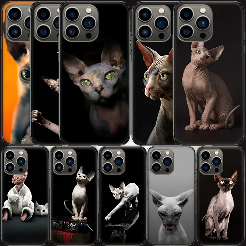 Lavaza Sphynx Sphinx Cat Phone Case For Apple Iphone 16 15 Plus Soft 13 12 Mini Cover 11 14 Pro Max Capa X XS XR 8 7 Shell Coque