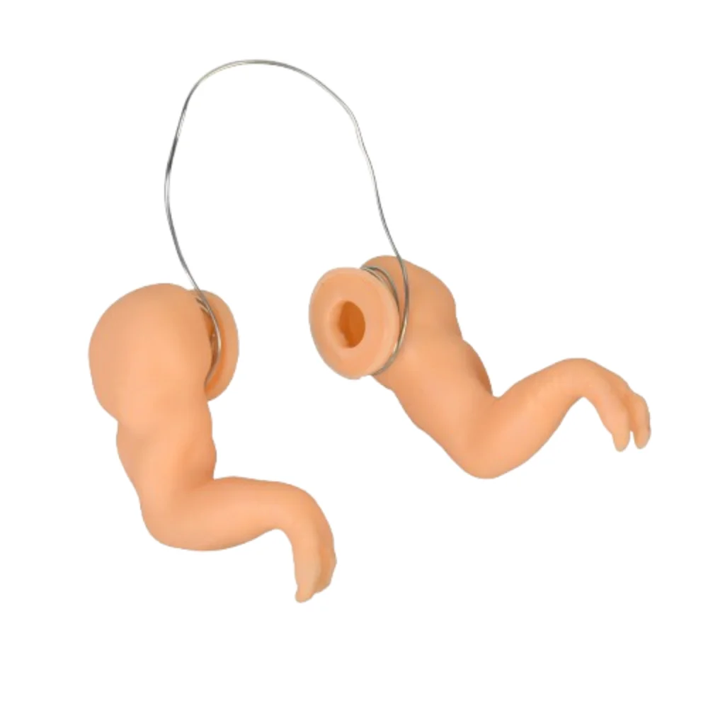 

Funny Fighting Chicken Arms Toys Giant Arm Artificial Chicken Forelimb Toy Hulk Arms Novelty Wearing Muscle Arm Duck Parrot