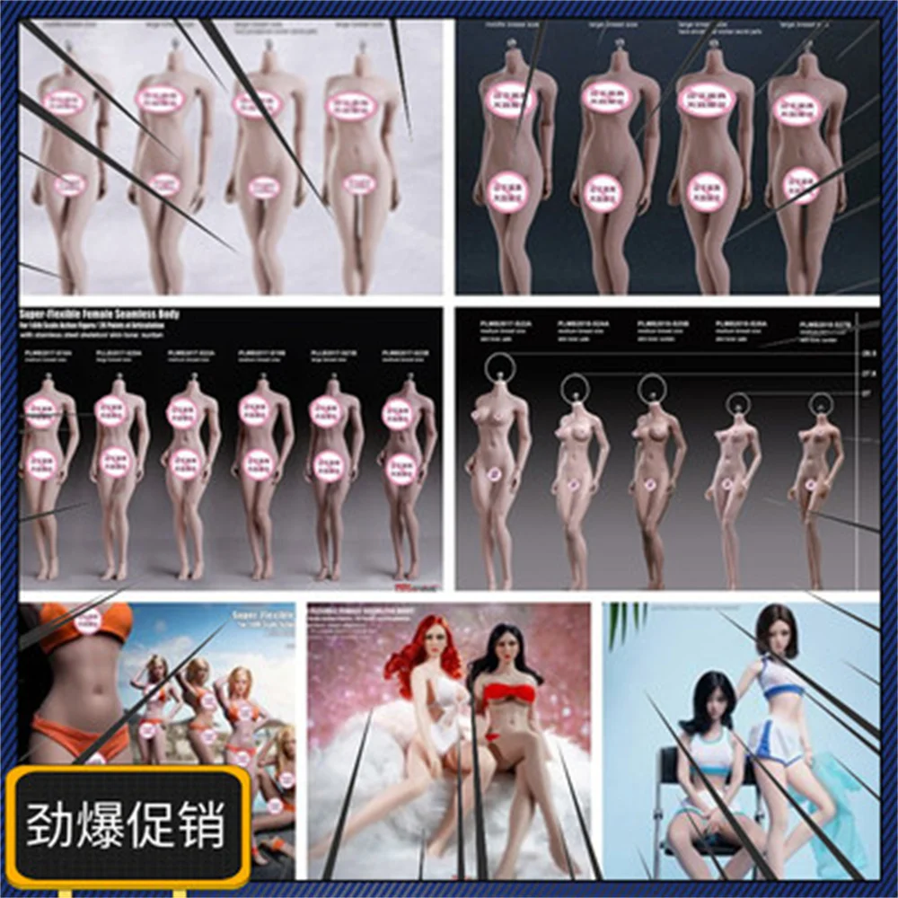 TBleague PHicen Female seamless body S01A S07C S10D S09C 10D 12D 20A 21B 23B S16A S17B S35 S34 S37 ModelFor12Inch Action Figure