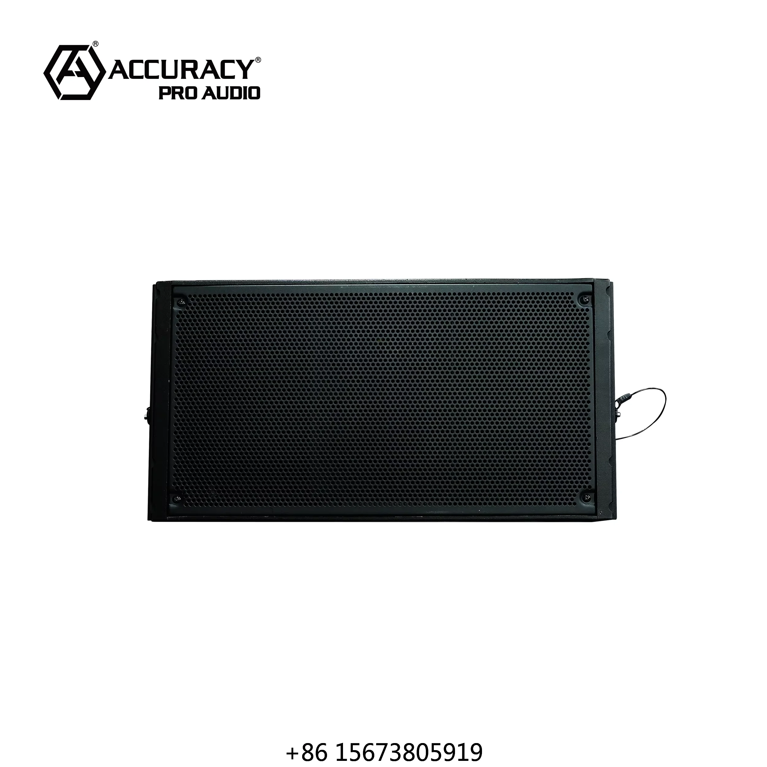 

Аудиоустройство Accuracy Pro Audio CF210A | Компактные двойные 10-дюймовые линейные акустические системы | Профессиональный модуль звуковой системы