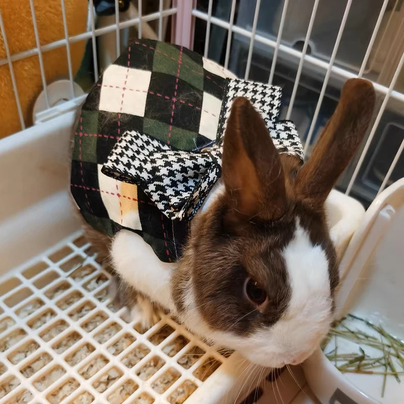 Cute Bunny Guinea Pig Costume for Small Animal Dwarf Rabbit Chinchillas School Uniform Clothes with Harness mascotas Accessories