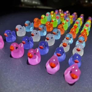 Luminous Mini Moos Ducks und Mikropaisagismus, Entenminiaturaufkleber, Feengartenzubehör, Glanz in der Dunkelheit, Heimdekoration, 50pcs 6 Hauptverkauf Puppen Jardim - №3