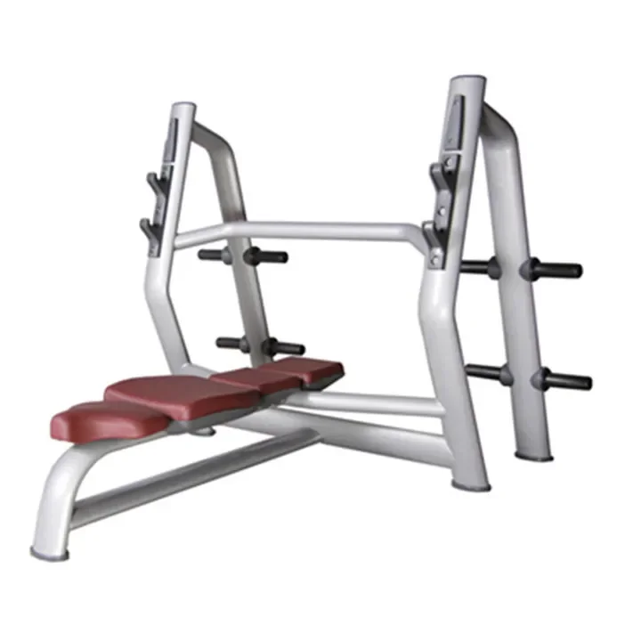 Flat Bench Press / Weight lifting / Plate loaded machine