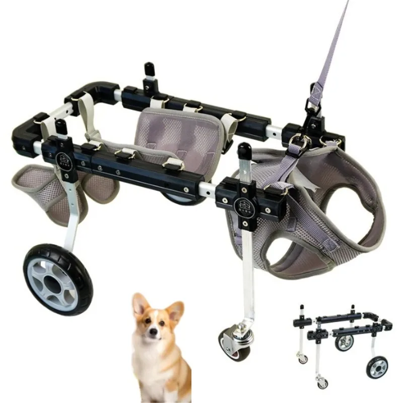Rear Support Cart for Cats & Small Dogs, Adjustable for Paralysis (Teddy) | Multi-Pet Rehabilitation & Mobility Solution