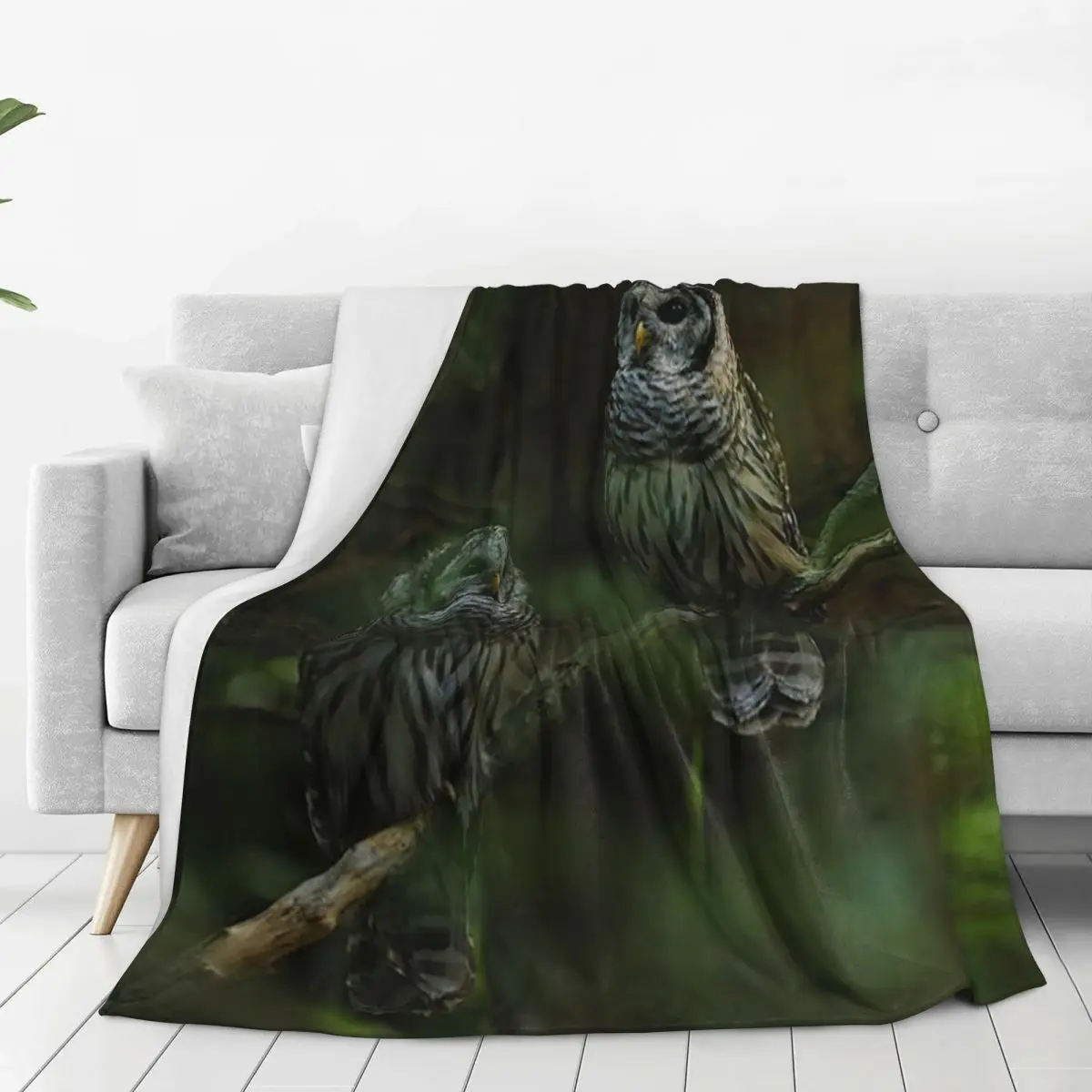 Barred Owl Siblings Blanket Flannel Super Soft Sofa Throw Blankets For Home Bedroom Office Throws Bedspread Quilt