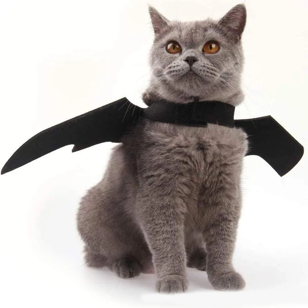 Haustier-Halloween-Kostüm Fledermausflügel für Hunde und Katzen Lustiges Haustier-Cosplay-Requisit Halloween-Weihnachtskostüm Haustierprodukte – Detail 2