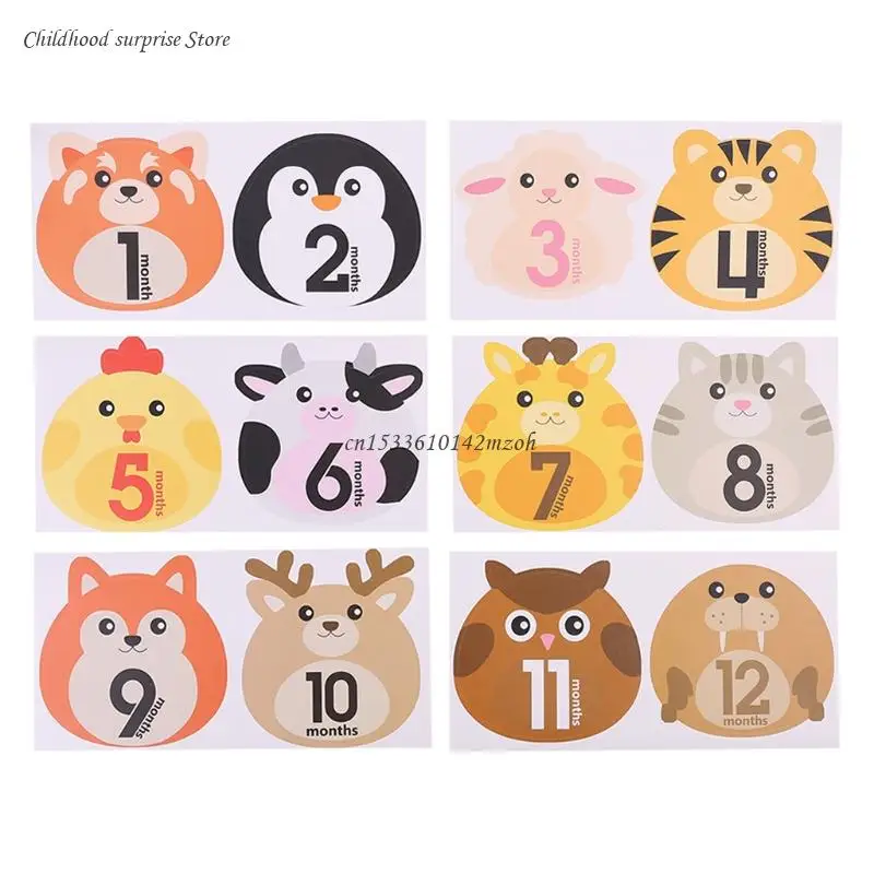 

12 PCS Newborn Monthly Milestone Stickers Boho Stickers Photographic Props Dropship