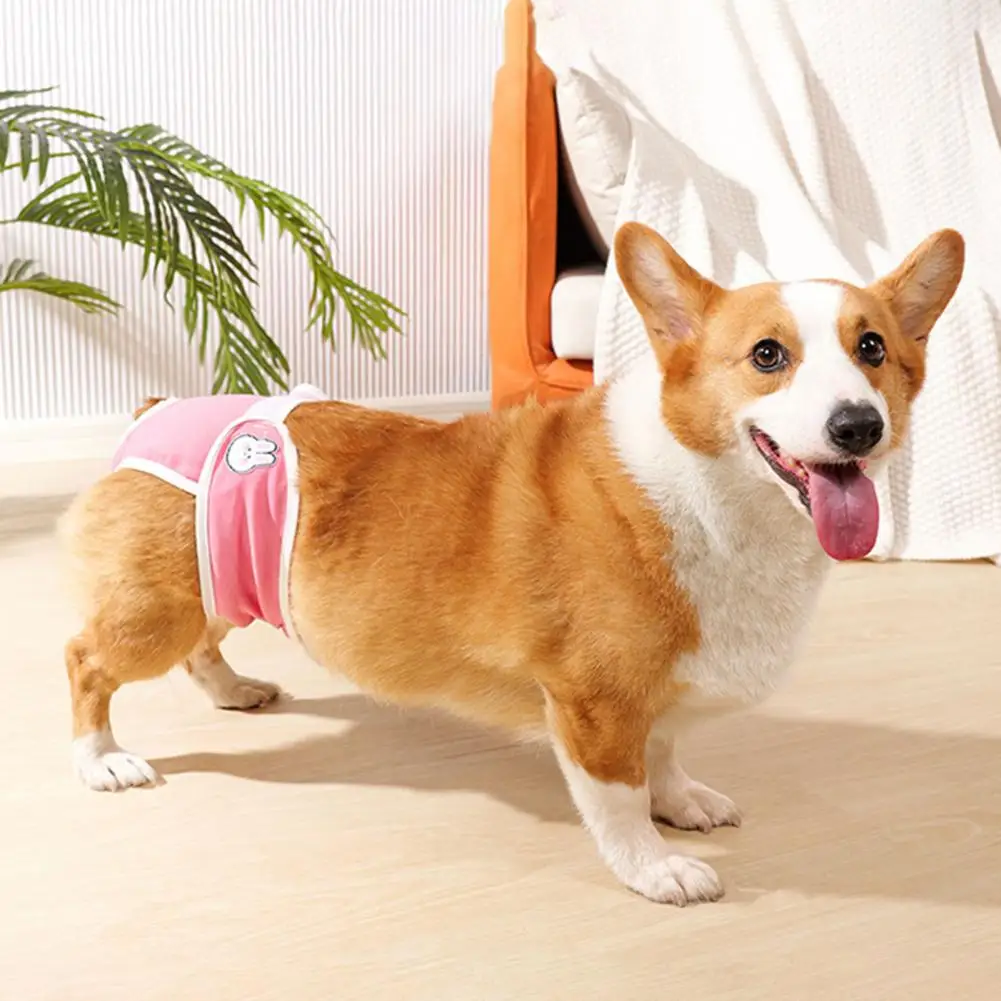 Female Dog Heat Protection Pet Menstrual Pants for Female Dogs Breathable Diapers Physiological Shorts Underwear for Small