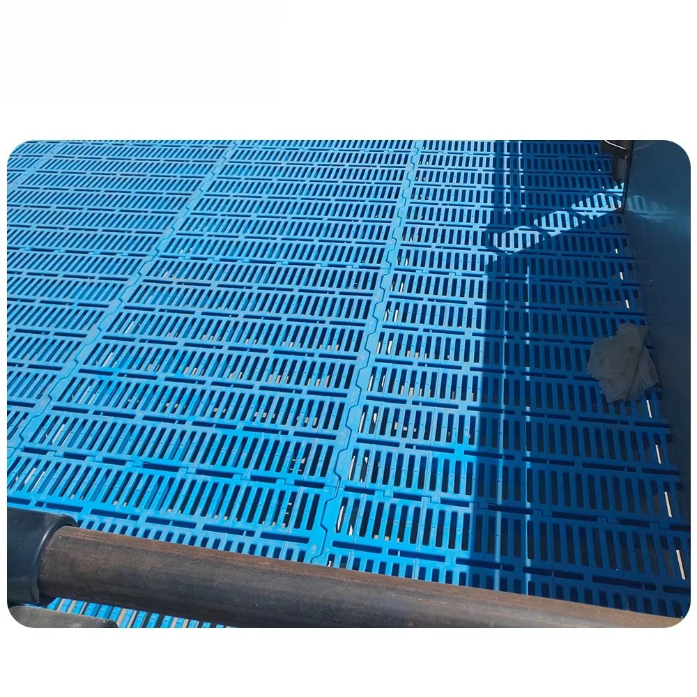 

Modern Goat/pig Farming Equipment Piglet Slatted Floors Plastic Slats Flooring for Pigs