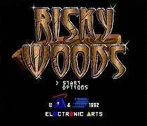 بطاقة الألعاب Risky Woods 16bit MD لمحرك Sega Mega لـ Genesis