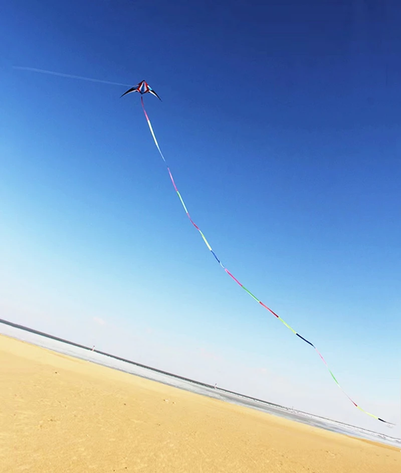 Kites acrobáticos de doble línea de 240cm, pipas voladoras para adultos, línea de cuerdas, pipa profesional, software de aire, pipa extragrande