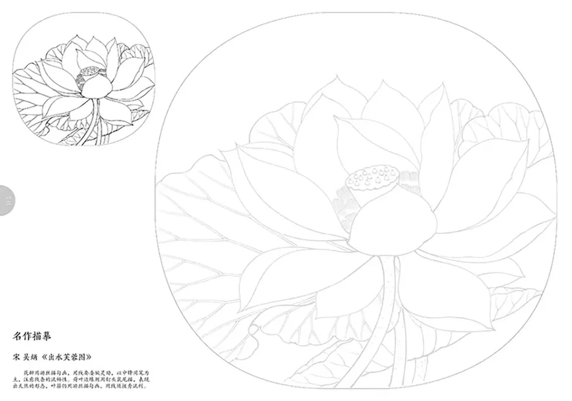 Introduction to Line Drawing in Chinese Painting for Flowers and plants Art Book