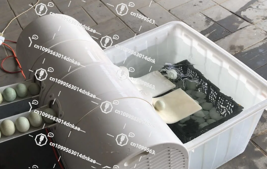 

Factory Direct Sales Genuine Egg Washing Machine/duck Egg Washing Machine/new Machine/small Machine