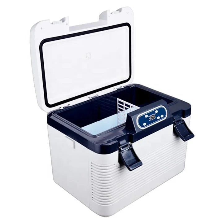 Hot Sale 19L Fashion Design Keep Food Warm Portable Cold Chain Carrier Compact Size Freezer Plastic Cooler Box