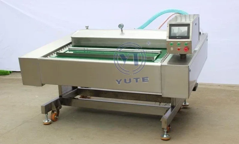 DZ Industrial vacuum packing machine with conveyor belt vacuum sealer machine meat vegetable fish processing machinery