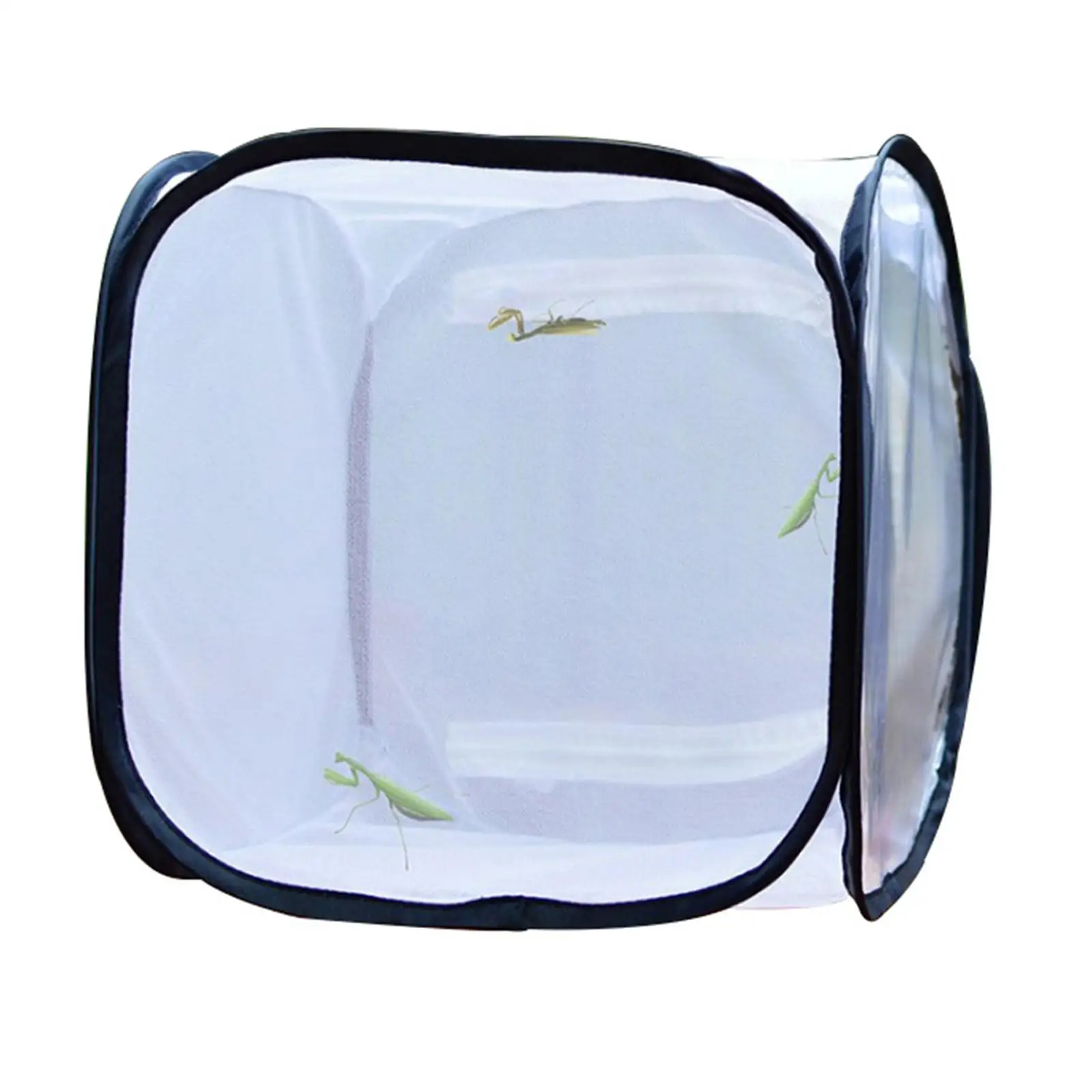 and Butterfly Cage,Butterfly Habitat,Collapsible Mesh Cage for s Raising,Outdoor,Nature Observation
