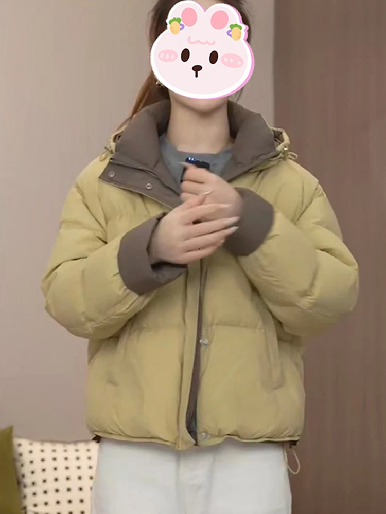 

Новая зимняя хлопковая куртка с цветными блоками в корейском стиле для женщин: повседневная, универсальная, с капюшоном, для города