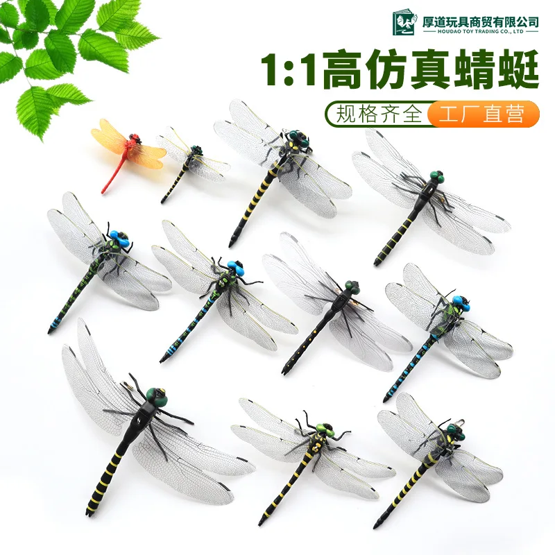 

Dragonfly cognitive animal toys, desktop decorations, collection ornaments, simulated dragonflies, model toys