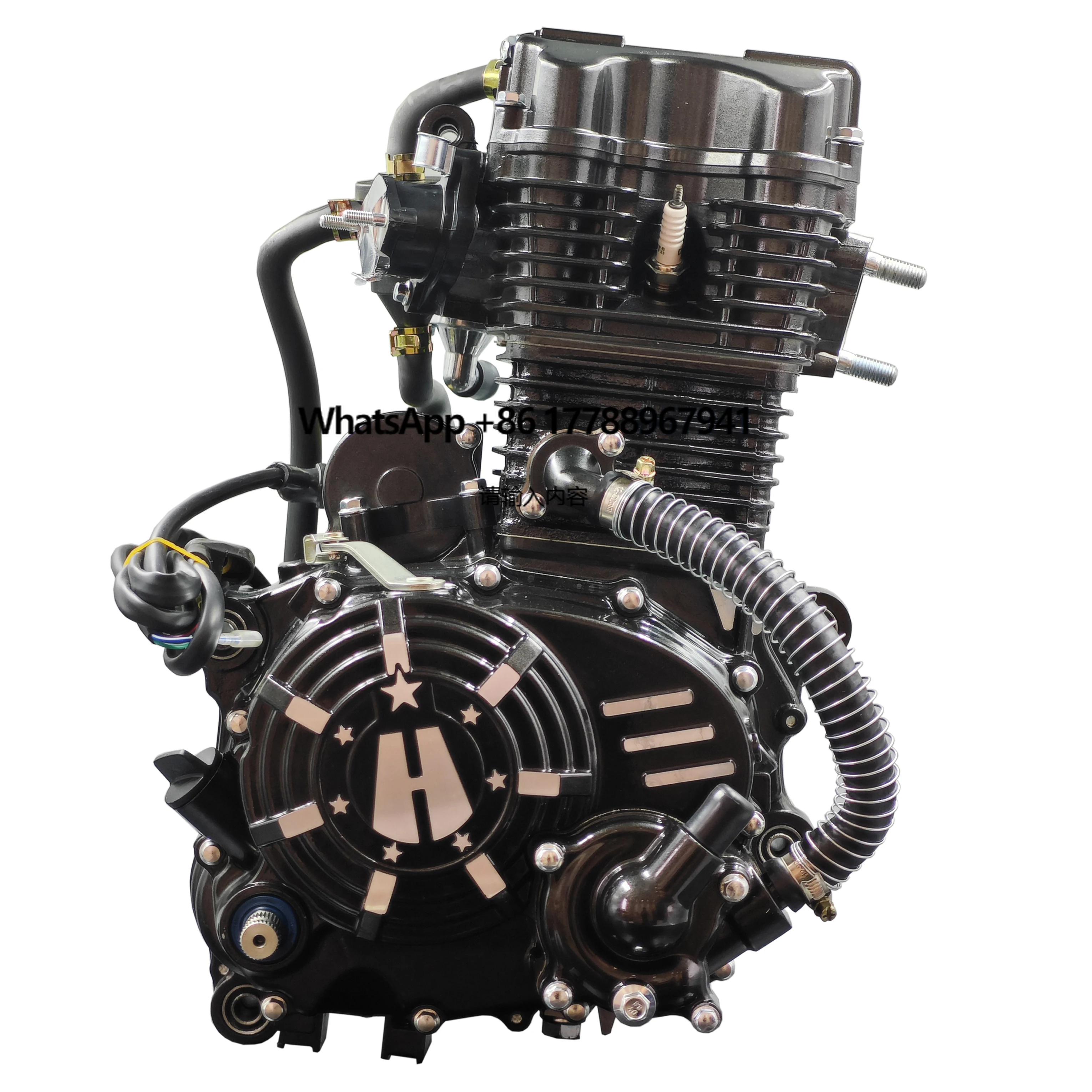 

CQXY New Engine Assembly Water Cooled 250cc Engine Motorcycle Three Wheel Cargo Tricycle 250cc Engine