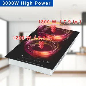 12 Inch Electric Cooktop 2 Burner  3000W Built-in Electric Radiant Glass Stove Top with 16 Power Levels, 220V Ceramic Hob