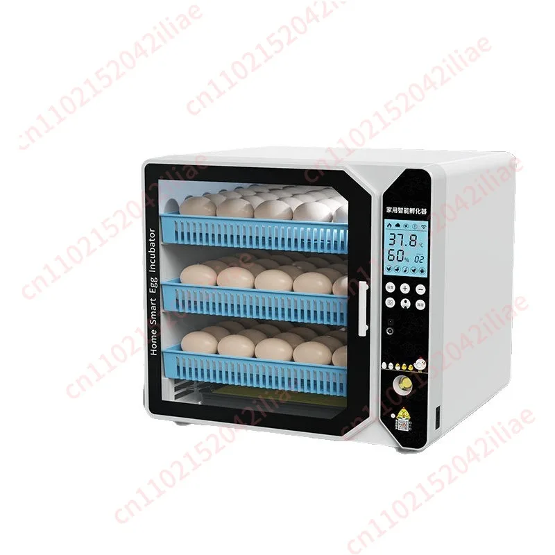 High-end incubator Small household automatic egg incubator