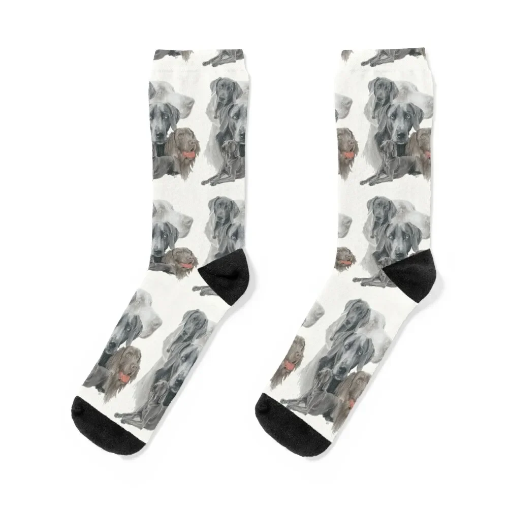 

Weimaraner Medley Socks designer brand with print Socks For Girls Men's