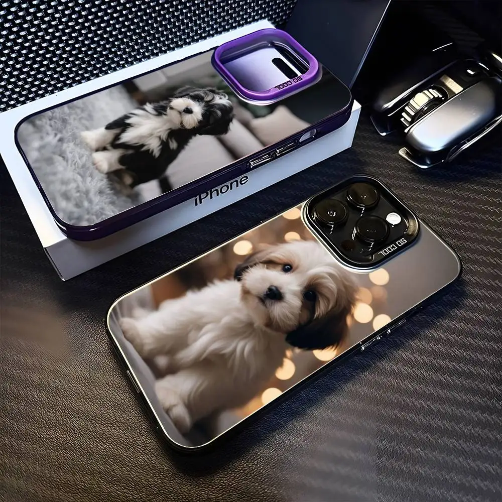 

Cute Teddy Dogs Phone Case For iPhone 16,15,14,13,12,11,Mini,Pro,MAX Purple Matte Shockproof Cover