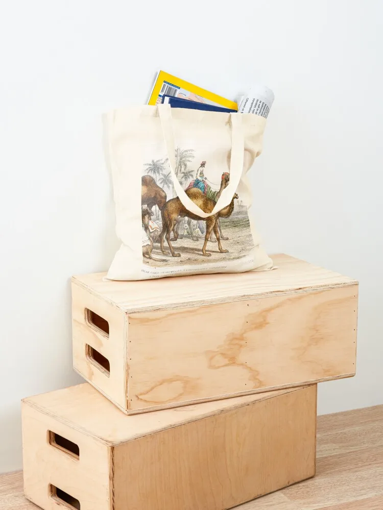 Camels species vintage illustration Tote Bag tote bag screen hand bag eco folding shopper bags