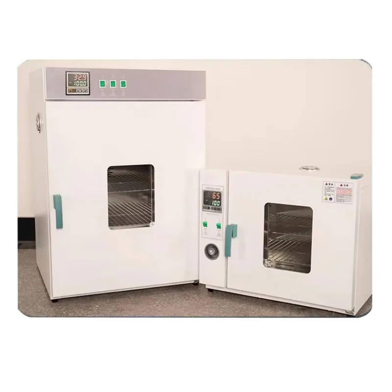 

2026 Hot Selling220V/50HZ 16L Laboratory Oven, Electric Heating Constant Temperature Blast Drying Oven, Medical Drying Machine