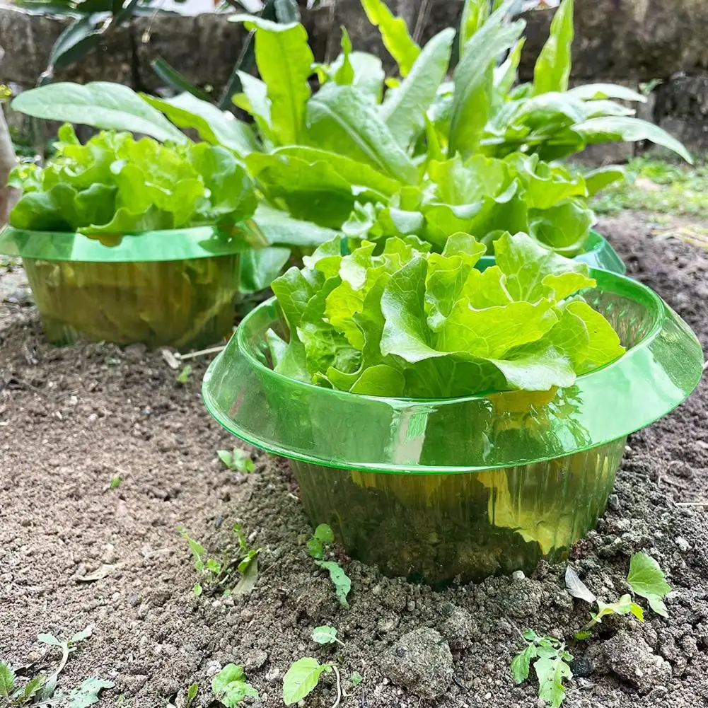 Plant Covers Vegetable Protective Covers Weather-resistant Garden Cloches Reusable Slug Collars Snail Defense Plant for Ultimate