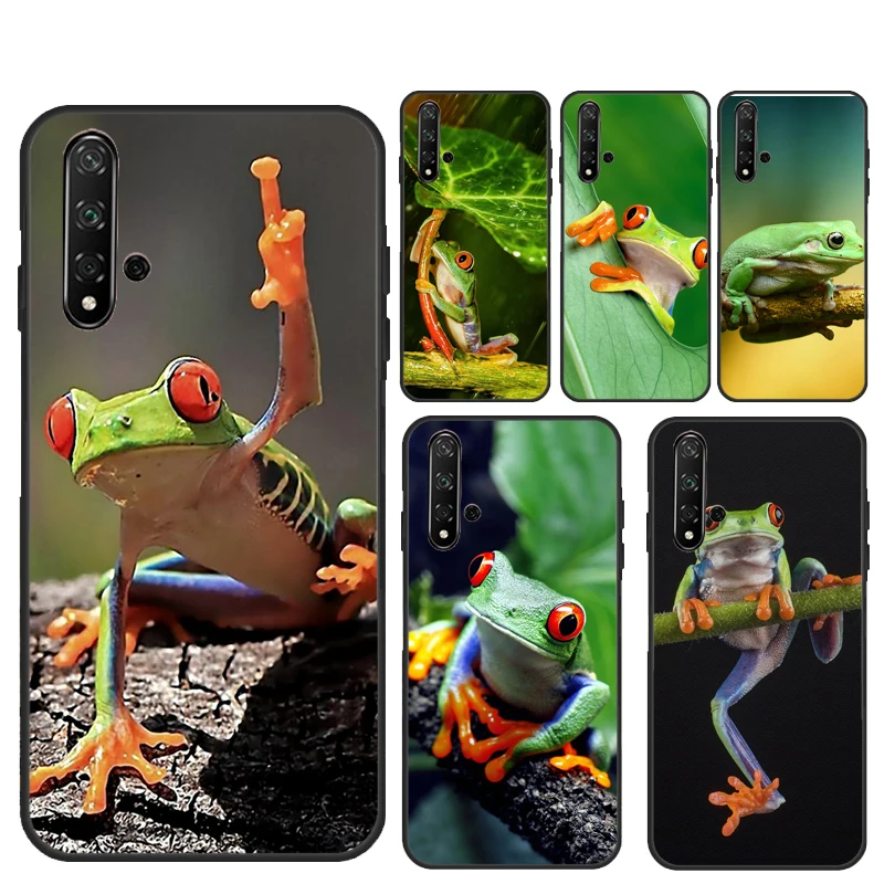 Green Frog Wildlife… - image