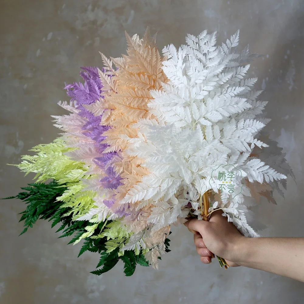 Hoja de helecho preservada para decoración del hogar, vida eterna, planta de helecho Real Natural, Material de flores hechas a mano, boda, hogar, 3 piezas, 10 piezas