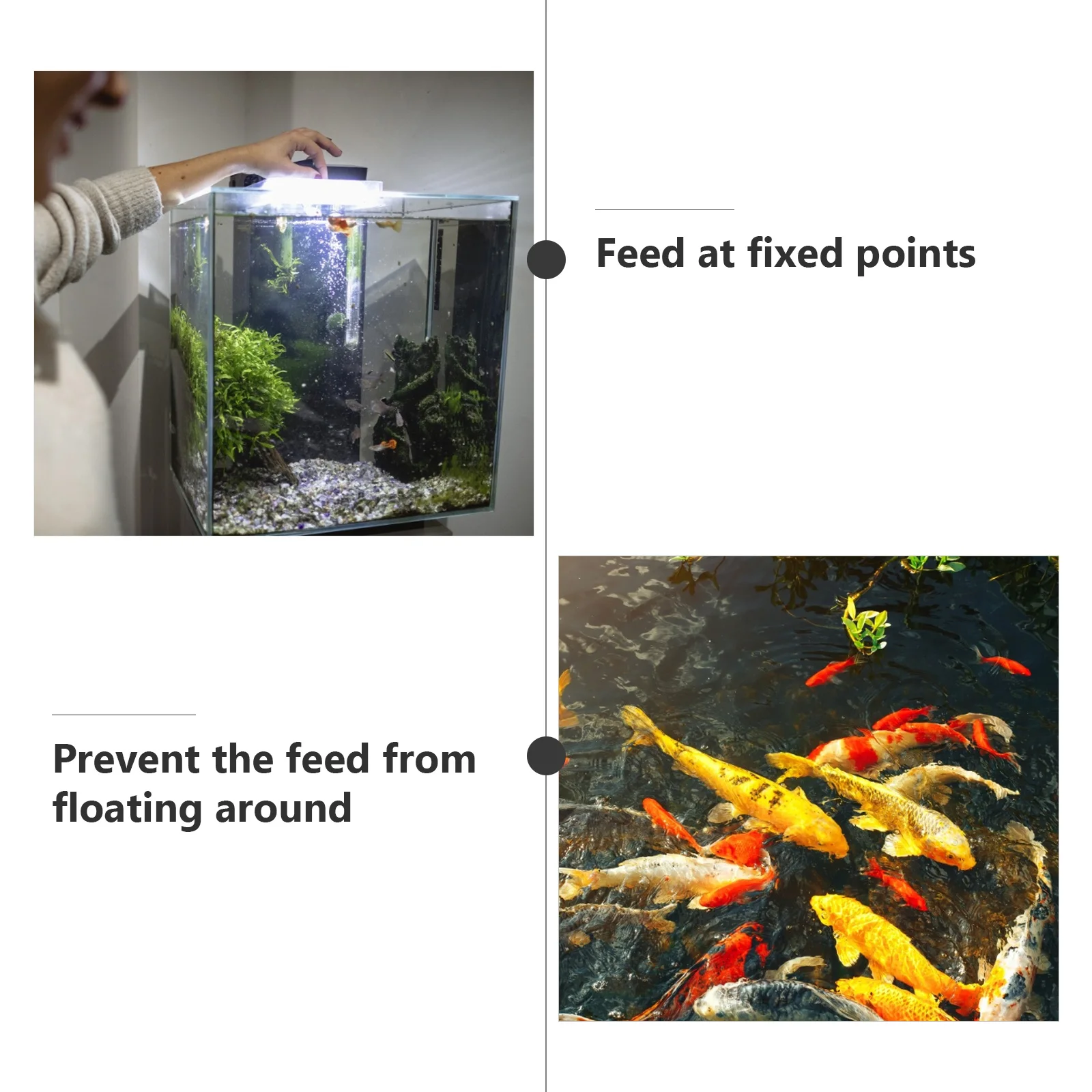 

2Pcs Fish Feeding Circle Movable Feeder PVC Durable High Buoyancy Easy Clean Fixed Point Aquarium Decor Pet Supplies