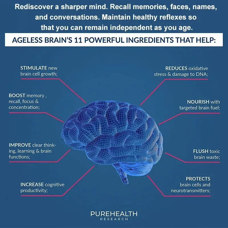 Nootropic Brain & Focus Supplement - Neurokines & B Vitamins - for Memory, Mental Focus, Cognitive Function & Learning Accuracy