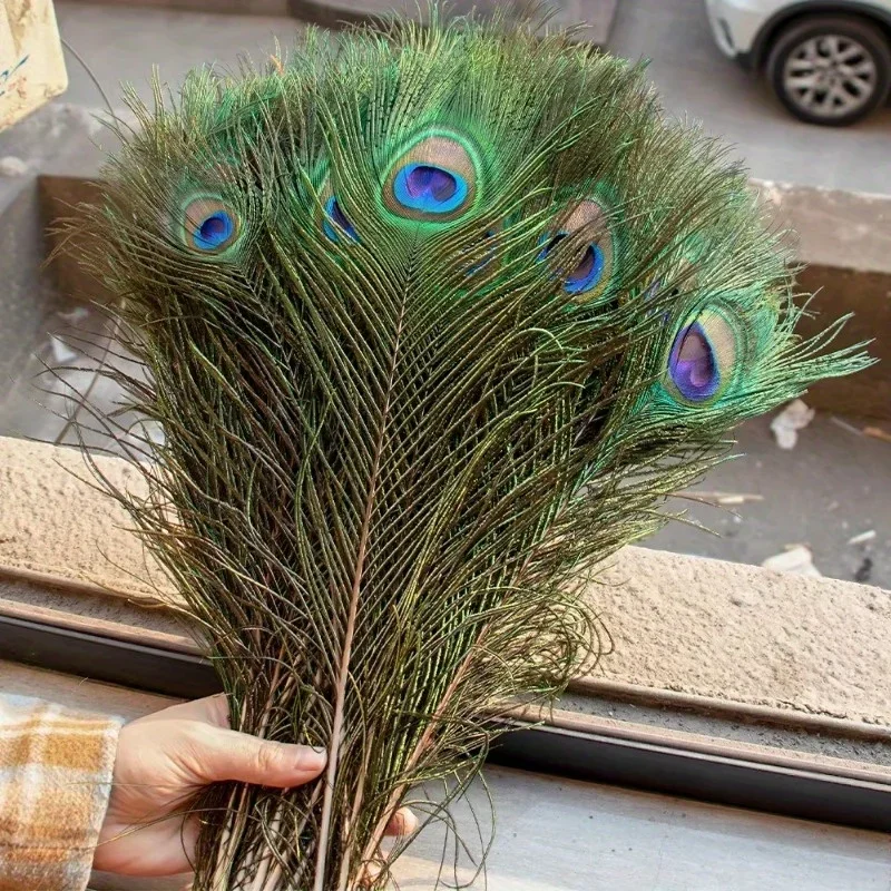 

10PCS Big Eyes Peacock Feathers Natural Feather for DIY Crafts Accessories Wedding Home Hotel Decoration Plumes